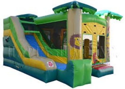 Picture for category Moonwalks/Bounce House